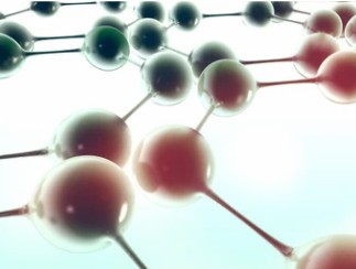 Advancements in Protein lipidation Research